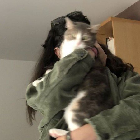  عکس پروفایل دختر و گربه