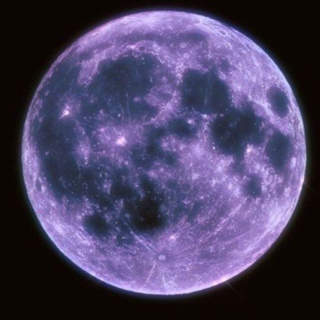  پروفایل دختر بنفش