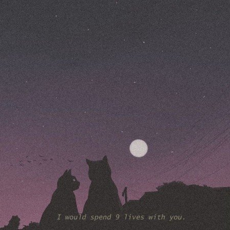  بک گراند پینترست