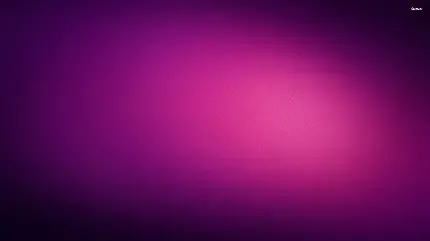  وایب بنفش کیوت