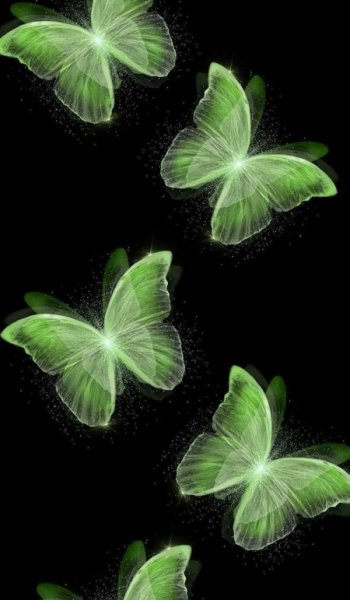  بک گراند پینترستی پروانه