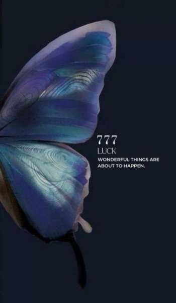  بک گراند پینترستی پروانه