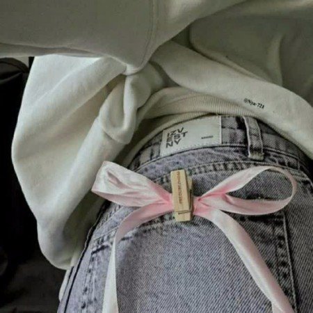  عکس پاپیون برای پروفایل