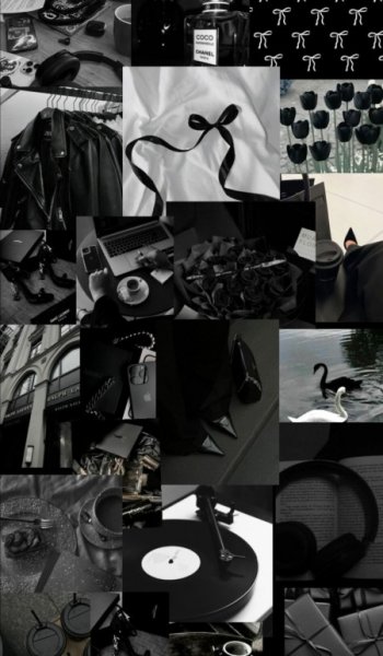  عکس پاپیون آبی پینترستی