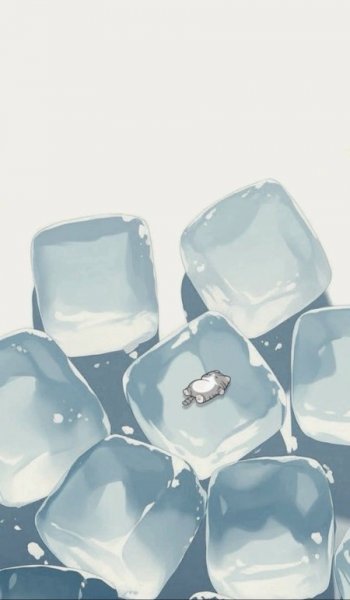  بک گراند پاپیون ابی