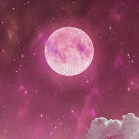  عکس پاپیون پینترستی