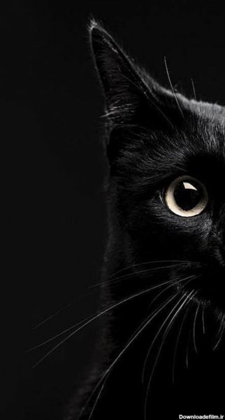 بک گراند دارک خفن