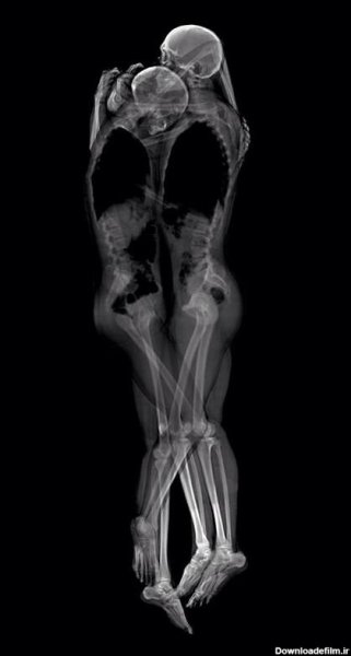  بک گراند دارک خفن