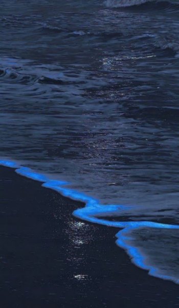  بک گراند دارک مود