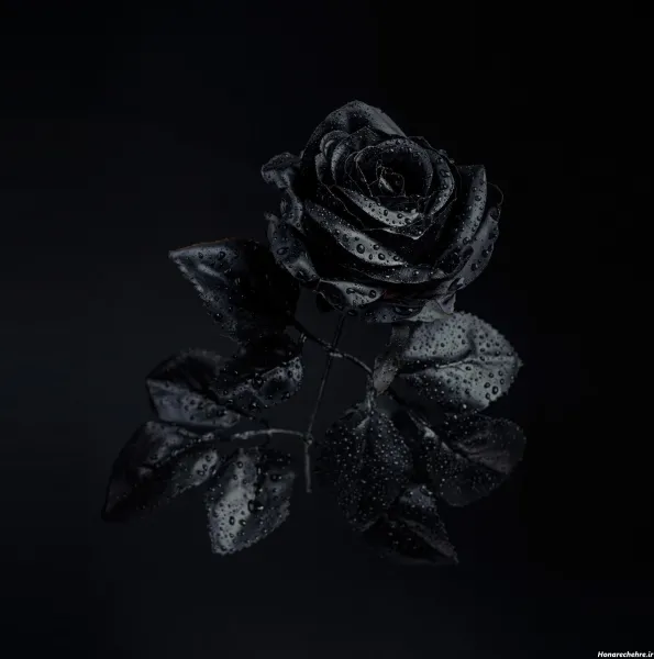  عکس تاریک سیاه