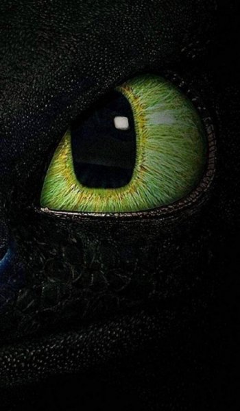  بک گراند دارک ست