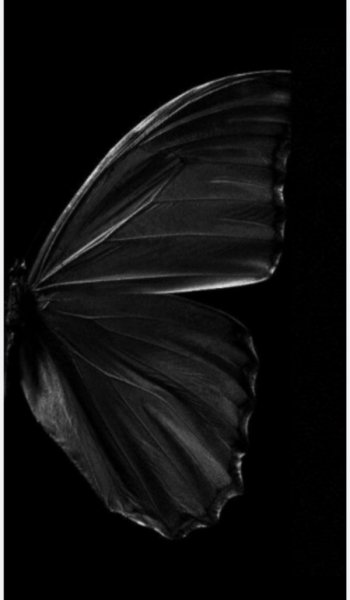  بک گراند دارک ست