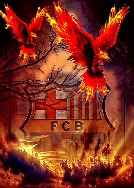  عکس بارسلونا با شیر