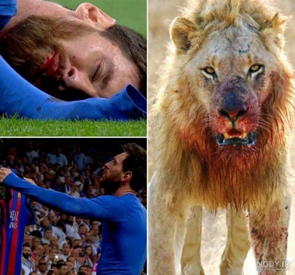  عکس بارسلونا با شیر