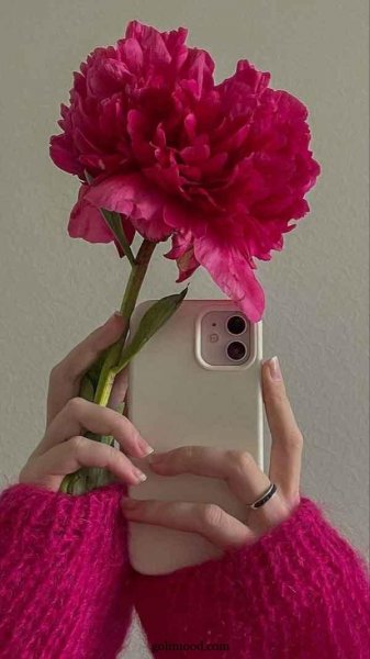  عکس گل برای پروفایل اینستا دخترونه