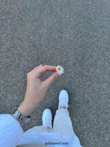  عکس گل برای پروفایل اینستا دخترونه