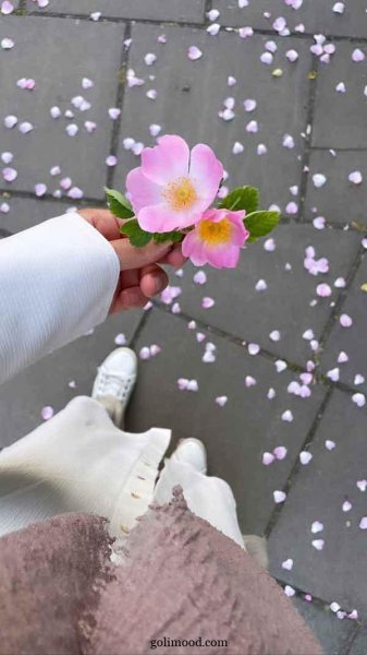  عکس گل برای پروفایل اینستا دخترونه