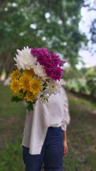  عکس گل برای پروفایل اینستا دخترونه