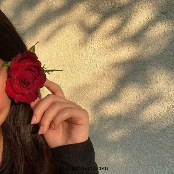  عکس گل برای پروفایل اینستا دخترونه