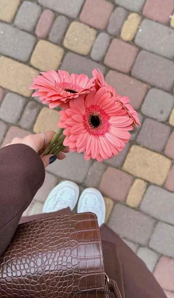  عکس گل برای پروفایل اینستا دخترونه