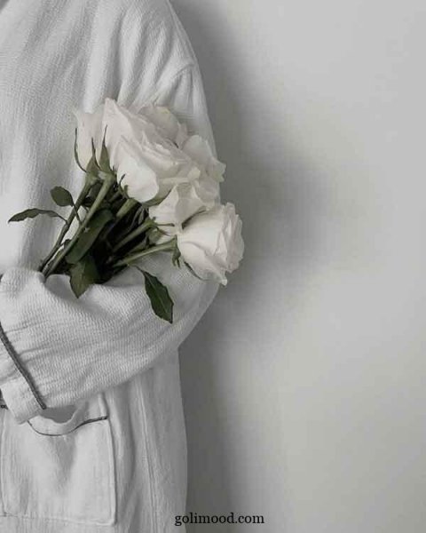  عکس گل برای پروفایل اینستا دخترونه