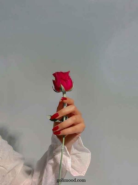  عکس گل برای پروفایل اینستا دخترونه