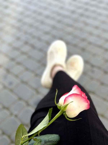  عکس گل برای پروفایل اینستا دخترونه