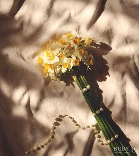  عکس دختر با گل نرگس برای پروفایل