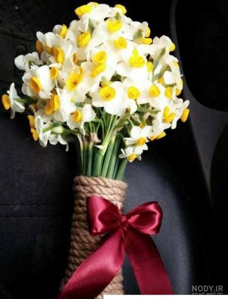  عکس دختر با گل نرگس برای پروفایل