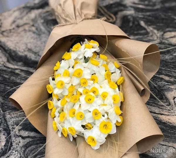  عکس دختر با گل نرگس برای پروفایل