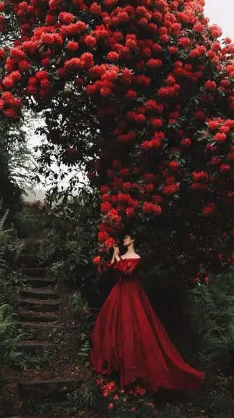  عکس دختر با گل رز قرمز