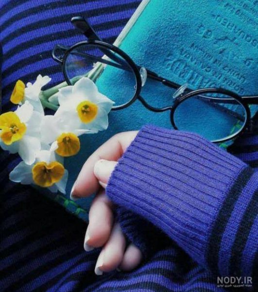  عکس گل نرگس و پروانه