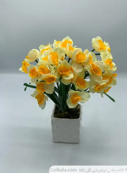  عکس گل نرگس برای پروفایل