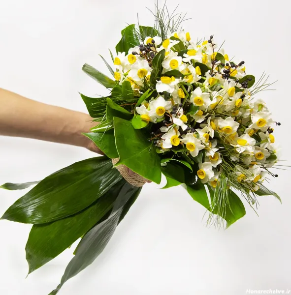  عکس گل نرگس برای پروفایل