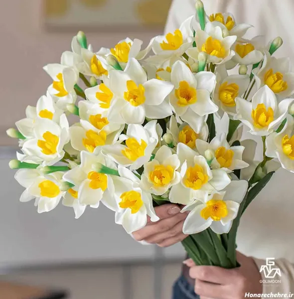  عکس گل نرگس برای پروفایل