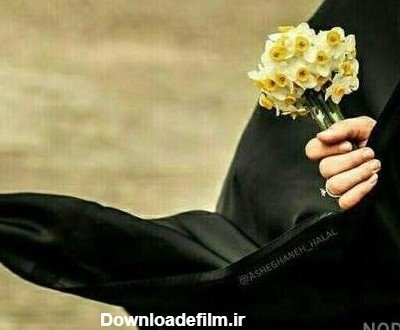 عکس گل نرگس در دست دختر چادری