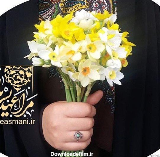  عکس گل نرگس در دست دختر چادری