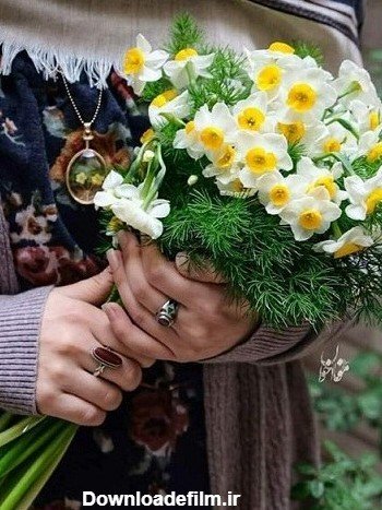  عکس گل نرگس در دست دختر چادری