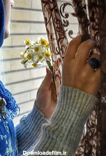  عکس گل نرگس در دست دختر چادری