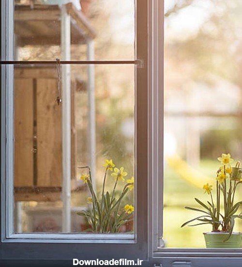  عکس گل نرگس در دست دختر چادری