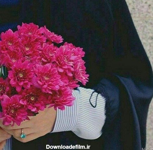  عکس گل نرگس در دست دختر چادری