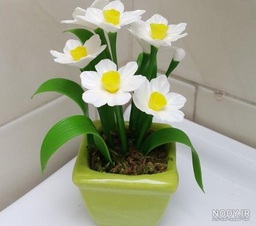  عکس گل نرگس در گلدان