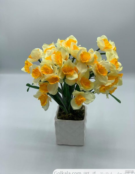  عکس گل نرگس در گلدان