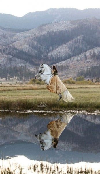 پروفایل دختر با اسب