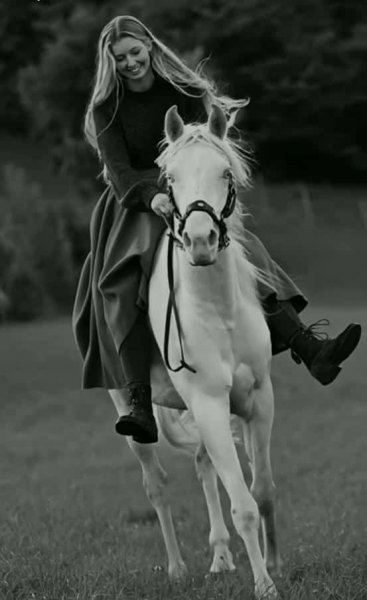  پروفایل دختر با اسب