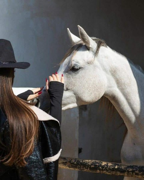  پروفایل دختر با اسب