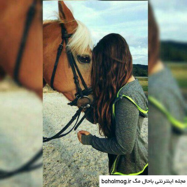  عکس پروفایل دختر با اسب سیاه
