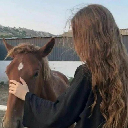  عکس اسب برای پروفایل دخترانه