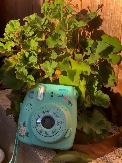 قیمت دوربین چاپ فوری کانن