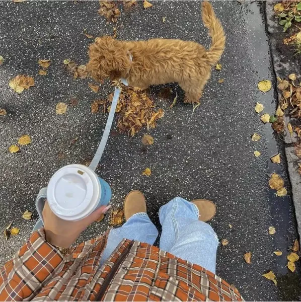  پروفایل دختر پاییزی